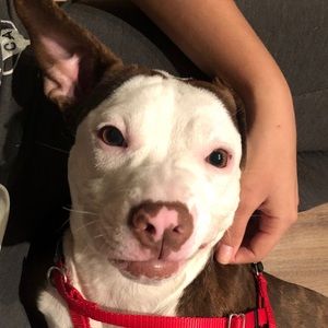 Meet your Posher, Christopher